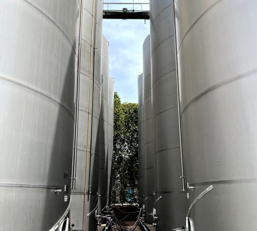 Facetune_26-04-2023-11-19-51-min